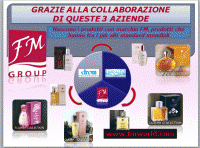 /album/galleria-foto-lavora-con-fm-group1/fm-group-gif1/